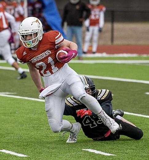 Longhorn Field