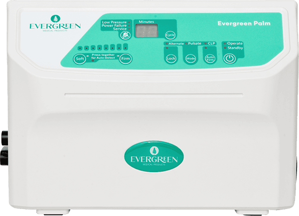 EVER- Palm 36"-R EVER- Palm 36"-R
