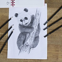 Sketch Art Draw pencil Sketch Art Draw pencil