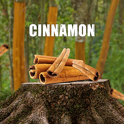 Cinnamon Sticks Celyon 40 gm