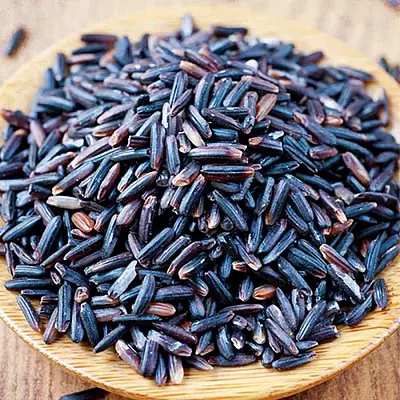 Karuppu Kavni Rice