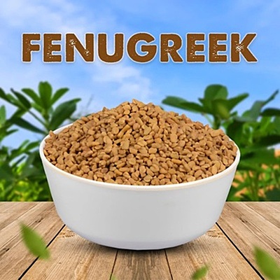 SV Homemade Fenu Greek 500 gm