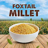 SV Homemade Foxtail Thinai Millet SV Homemade Foxtail Thinai Millet
