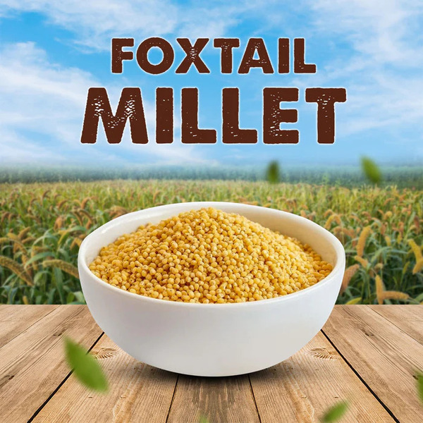 SV Homemade Foxtail Thinai Millet SV Homemade Foxtail Thinai Millet