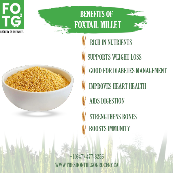 Foxtail Thinai Millet 1 Kg Foxtail Thinai Millet 1 Kg