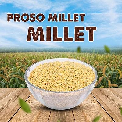 Proso Millet 1 Kg