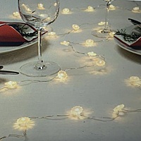 LED string light with 30 lights
