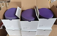 Purple 6" P600 Ceramic Disc 100/box
