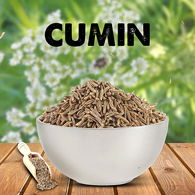 Cumin Seed