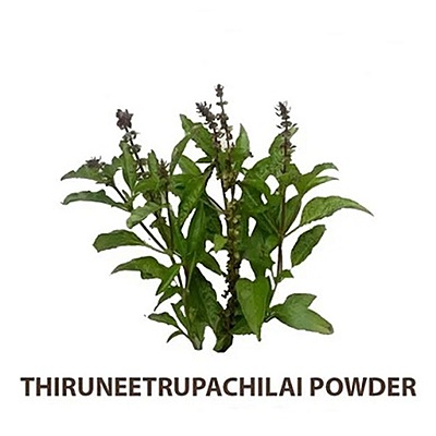 Thiruneetru Pachilai Powder