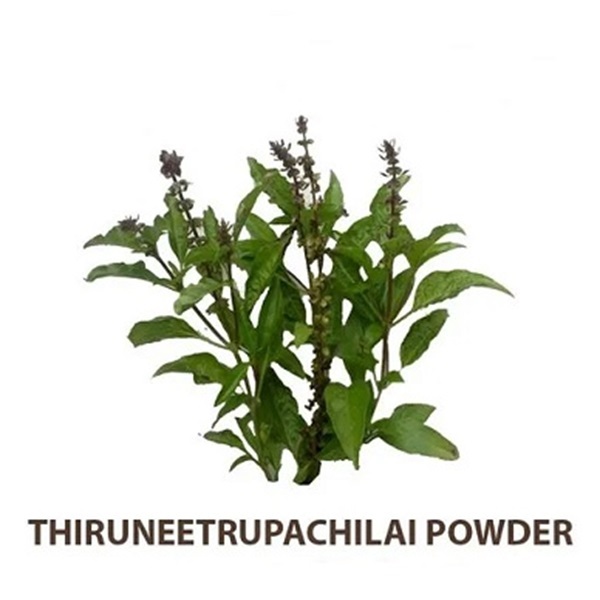 Thiruneetru Pachilai Powder