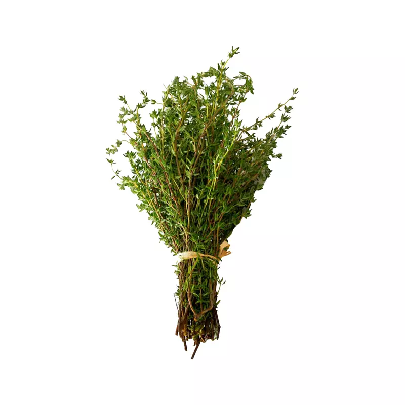 Local Fresh Thyme (Bundle)